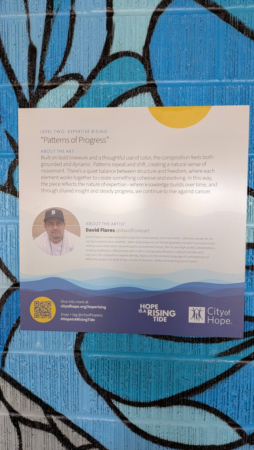 Gallery 1 - Patterns of Progress